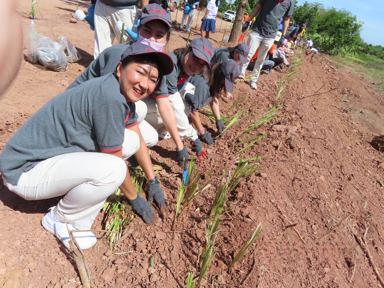 planting-community-forests