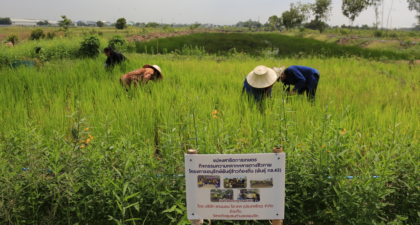 strengthening-the-environmental-management-system