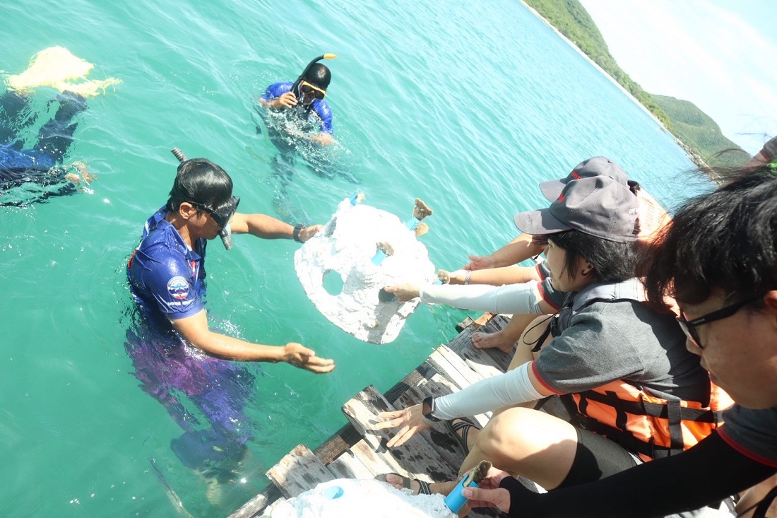 aquatic-animal-rehabilitation