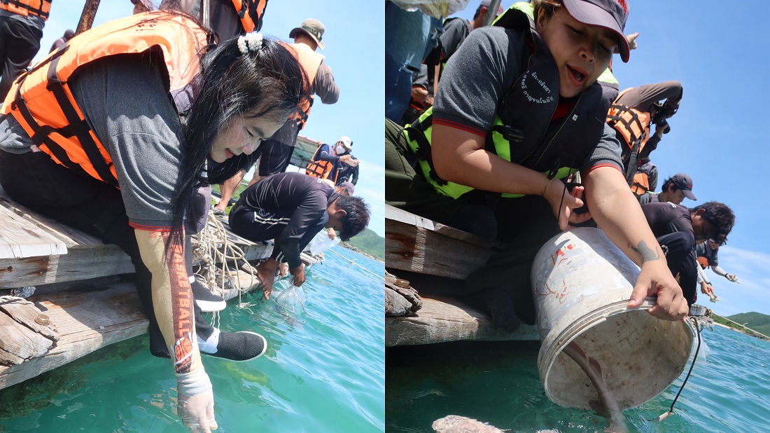 release-20-baby-shark