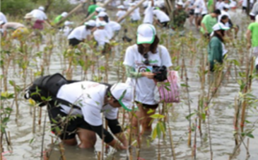 Environmental Responsibility at Canon Hi-Tech